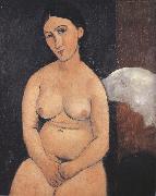 Amedeo Modigliani Seated Nude (mk39) Norge oil painting reproduction